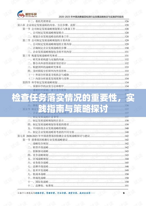 检查任务落实情况的重要性，实践指南与策略探讨