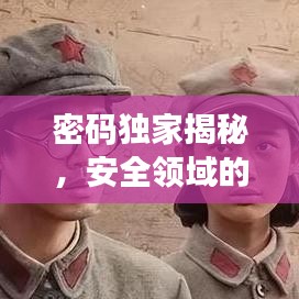 密码独家揭秘，安全领域的深度洞察与独特解析
