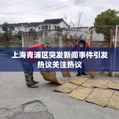上海青浦区突发新闻事件引发热议关注热议