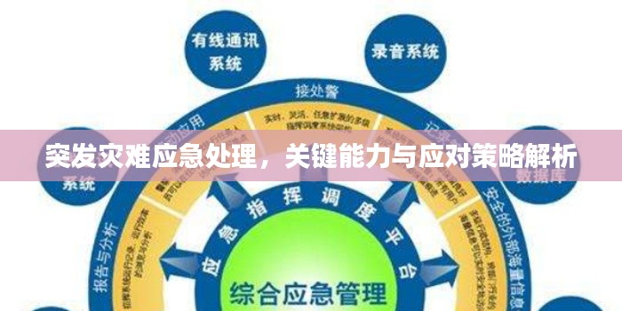 突发灾难应急处理，关键能力与应对策略解析