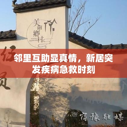 邻里互助显真情，新居突发疾病急救时刻