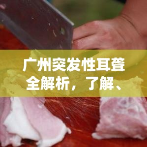 广州突发性耳聋全解析，了解、预防与治疗策略