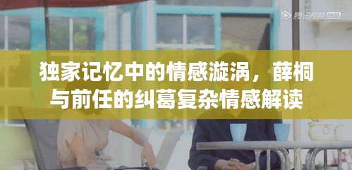 独家记忆中的情感漩涡，薛桐与前任的纠葛复杂情感解读