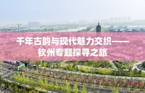 千年古韵与现代魅力交织——钦州专题探寻之旅