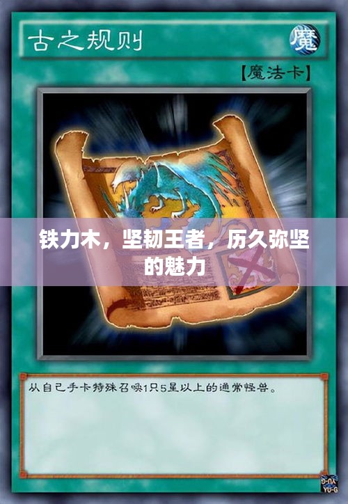 铁力木，坚韧王者，历久弥坚的魅力