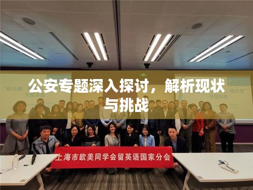 公安专题深入探讨，解析现状与挑战