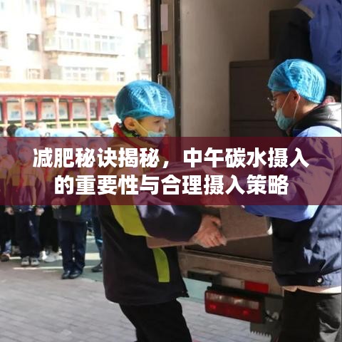 减肥秘诀揭秘，中午碳水摄入的重要性与合理摄入策略