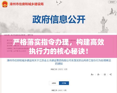 严格落实指令办理，构建高效执行力的核心秘诀！