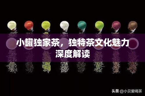 小罐独家茶，独特茶文化魅力深度解读
