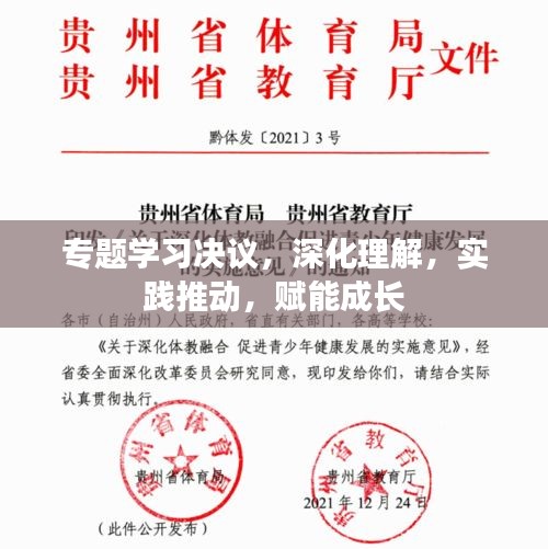 专题学习决议，深化理解，实践推动，赋能成长