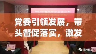 党委引领发展，带头督促落实，激发新动力
