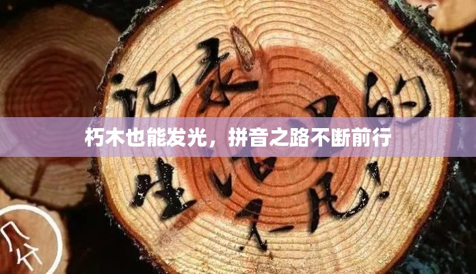 朽木也能发光，拼音之路不断前行
