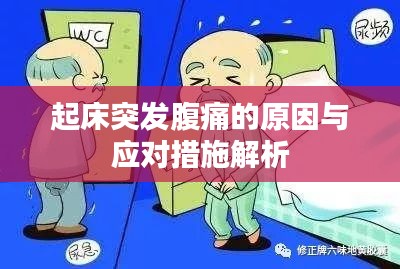 起床突发腹痛的原因与应对措施解析