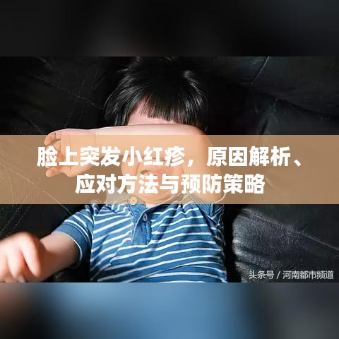 脸上突发小红疹，原因解析、应对方法与预防策略