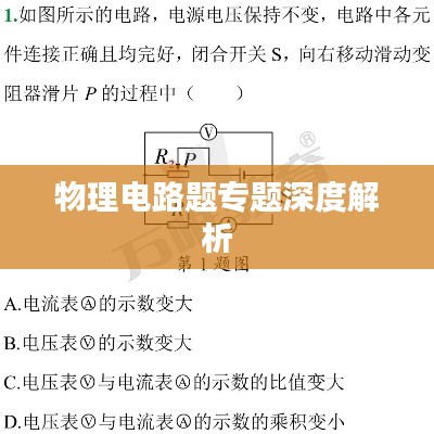 物理电路题专题深度解析