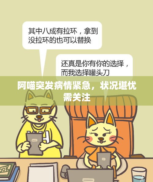 阿喵突发病情紧急，状况堪忧需关注