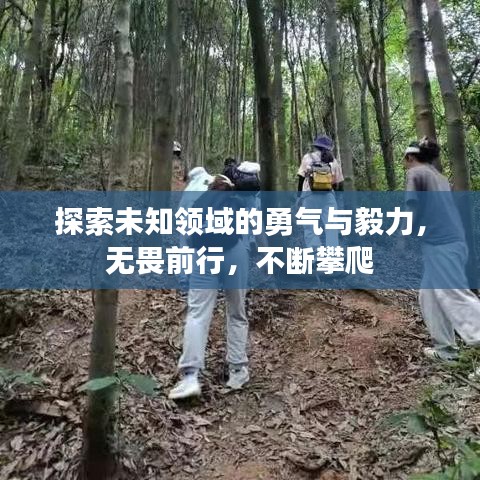 探索未知领域的勇气与毅力，无畏前行，不断攀爬