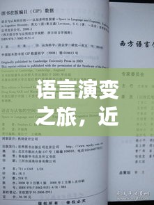 语言演变之旅，近义词的缩小与词汇精细化的探索之路