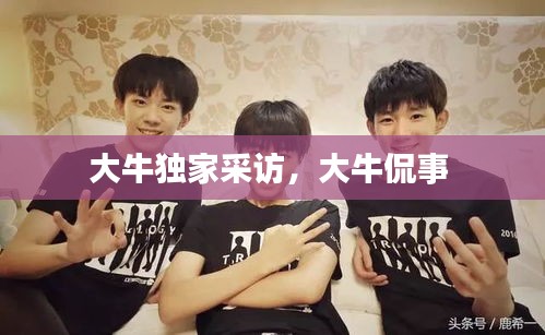 大牛独家采访，大牛侃事 