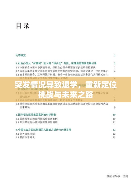 突发情况导致退学，重新定位挑战与未来之路