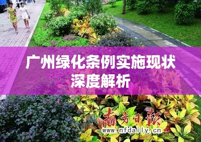 广州绿化条例实施现状深度解析
