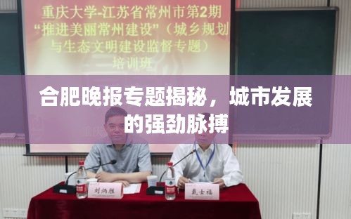 合肥晚报专题揭秘，城市发展的强劲脉搏