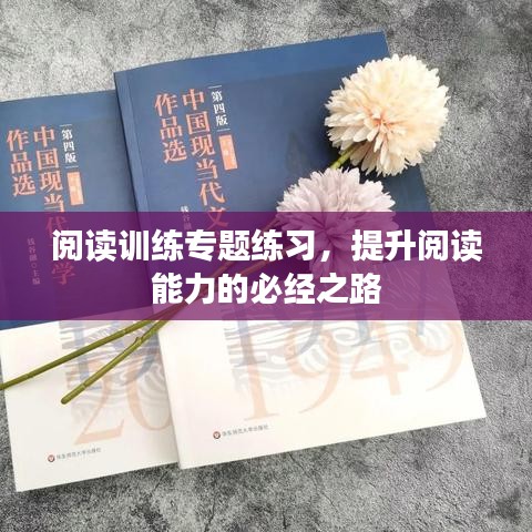 阅读训练专题练习，提升阅读能力的必经之路