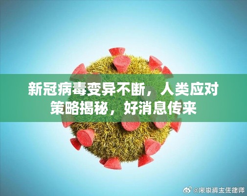 新冠病毒变异不断，人类应对策略揭秘，好消息传来