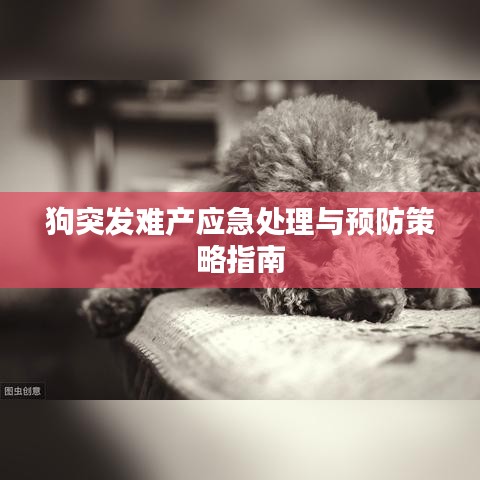 狗突发难产应急处理与预防策略指南