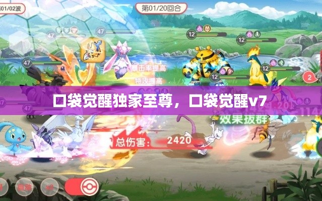 口袋觉醒独家至尊，口袋觉醒v7 