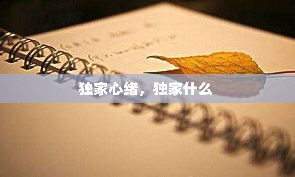 独家心绪，独家什么 