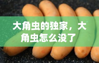 大角虫的独家，大角虫怎么没了 
