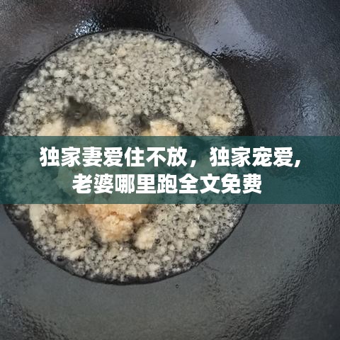 独家妻爱住不放，独家宠爱,老婆哪里跑全文免费 