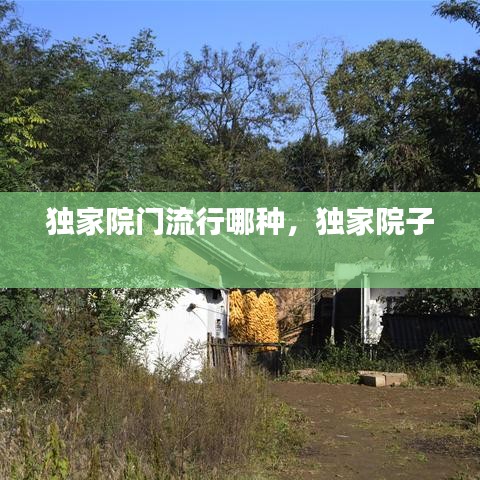 独家院门流行哪种，独家院子 