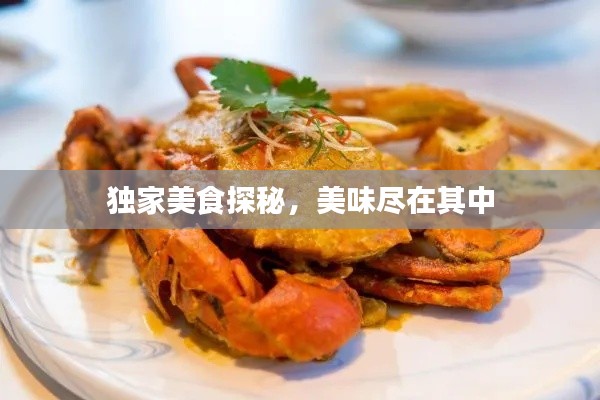 独家美食探秘，美味尽在其中