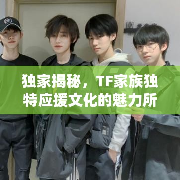 独家揭秘，TF家族独特应援文化的魅力所在