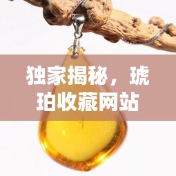 独家揭秘，琥珀收藏网站，带你领略珍稀琥珀的魅力世界