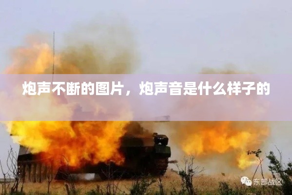 炮声不断的图片，炮声音是什么样子的 
