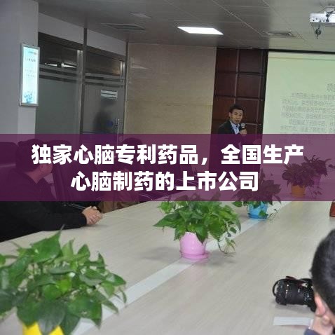 独家心脑专利药品，全国生产心脑制药的上市公司 