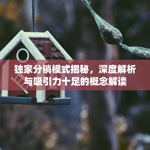 独家分销模式揭秘，深度解析与吸引力十足的概念解读