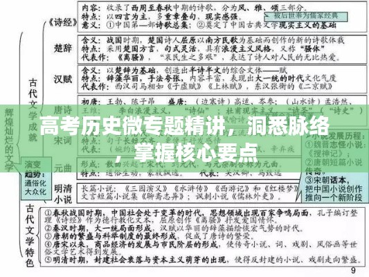 高考历史微专题精讲，洞悉脉络，掌握核心要点