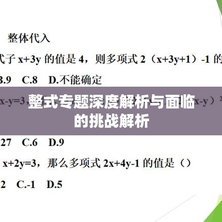 百鸟争鸣 第2页