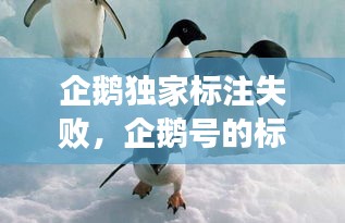 企鹅独家标注失败，企鹅号的标签是什么意思 