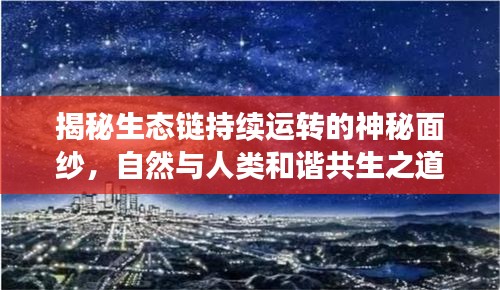 揭秘生态链持续运转的神秘面纱，自然与人类和谐共生之道