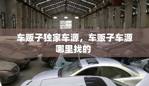 车贩子独家车源，车贩子车源哪里找的 