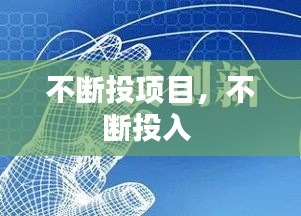 不断投项目，不断投入 