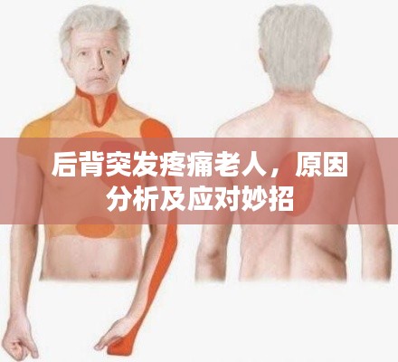后背突发疼痛老人，原因分析及应对妙招