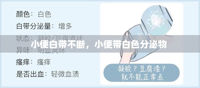 小便白带不断，小便带白色分泌物 