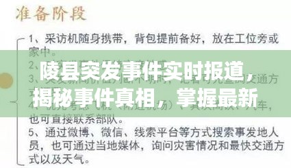 陵县突发事件实时报道，揭秘事件真相，掌握最新动态