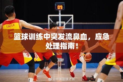 篮球训练中突发流鼻血，应急处理指南！